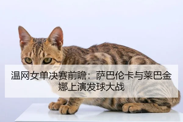 温网女单决赛前瞻：萨巴伦卡与莱巴金娜上演发球大战