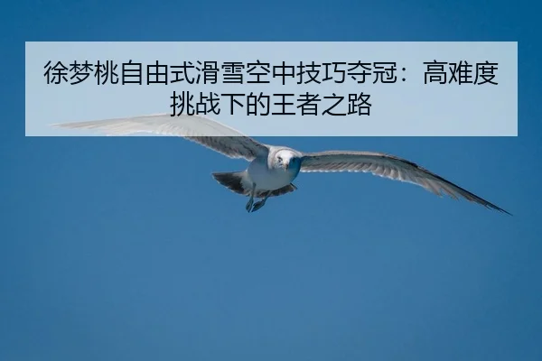 xu-meng-tao-zi-you-shi-hua-xue-kong-zhong-ji-qiao-duo-guan-gao-nan-du-tiao-zhan-xia-de-wang-zhe-zhi-lu-2-335.jpg