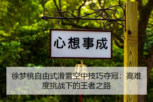 xu-meng-tao-zi-you-shi-hua-xue-kong-zhong-ji-qiao-duo-guan-gao-nan-du-tiao-zhan-xia-de-wang-zhe-zhi-lu-3-705.jpg