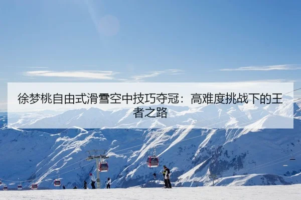 徐梦桃自由式滑雪空中技巧夺冠：高难度挑战下的王者之路